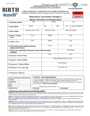 Fill Out Your Kentucky Birth Certificate Form